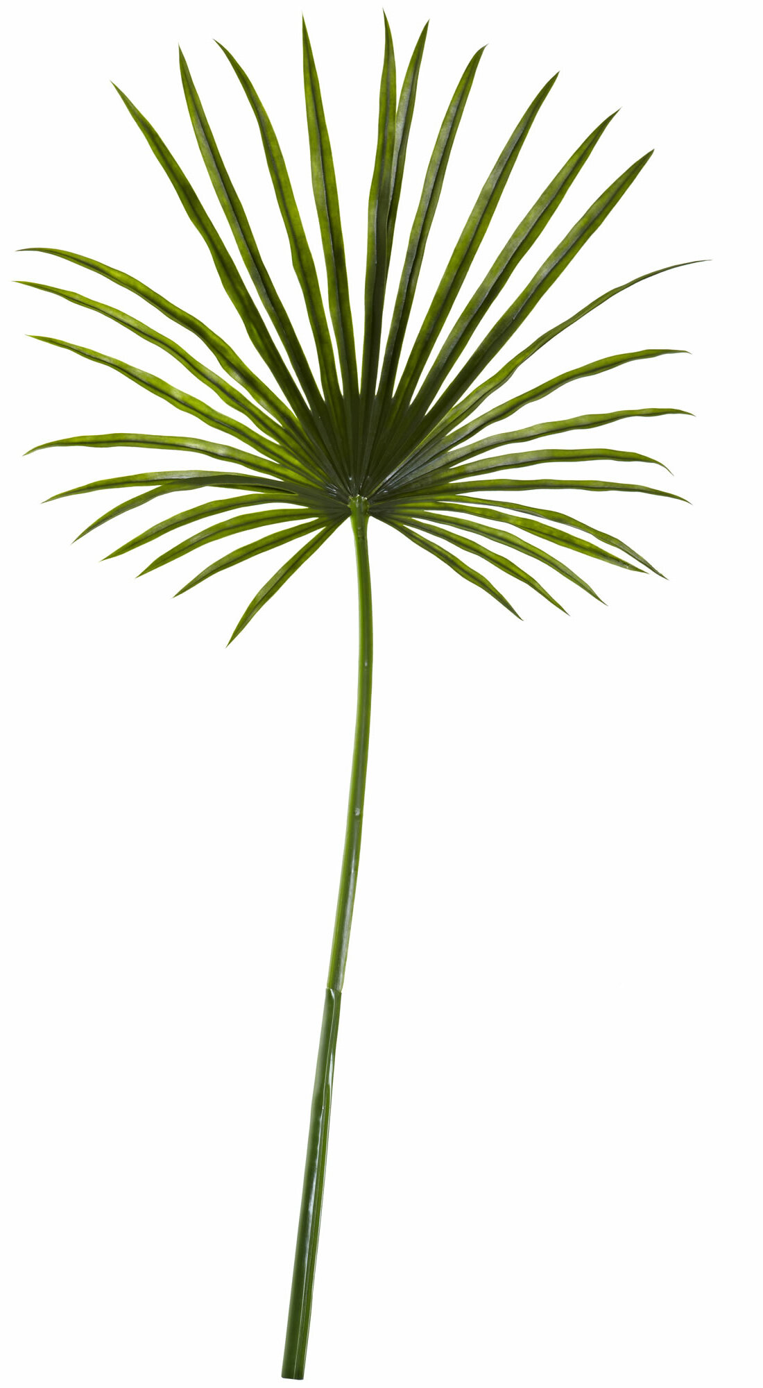 Bay Isle Home Faux Palm Plant & Reviews | Wayfair