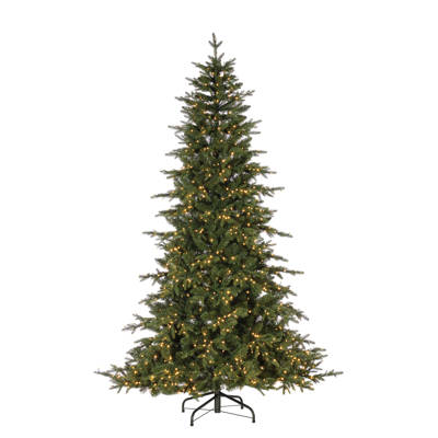 Sterling Inc Natural Cut Shasta 7 5 Green Pine Artificial Christmas Led Natural Cut Seville Green Pine Artificial Christmas Tree With Clear White Lights Stand