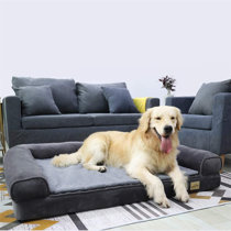 memory foam dog couch