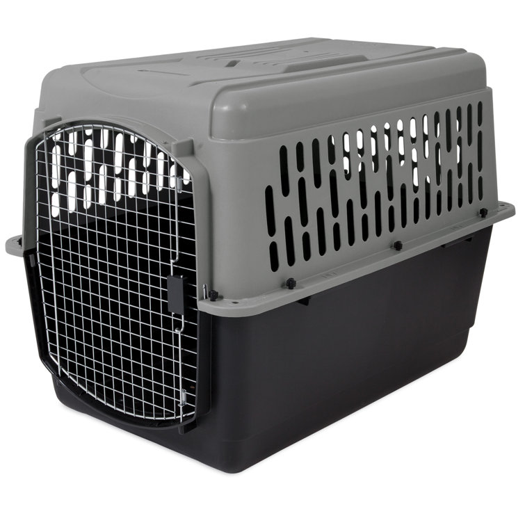 plastic insert for dog crate