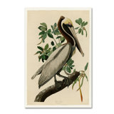 Pelican Wall Art You Ll Love In 2020 Wayfair