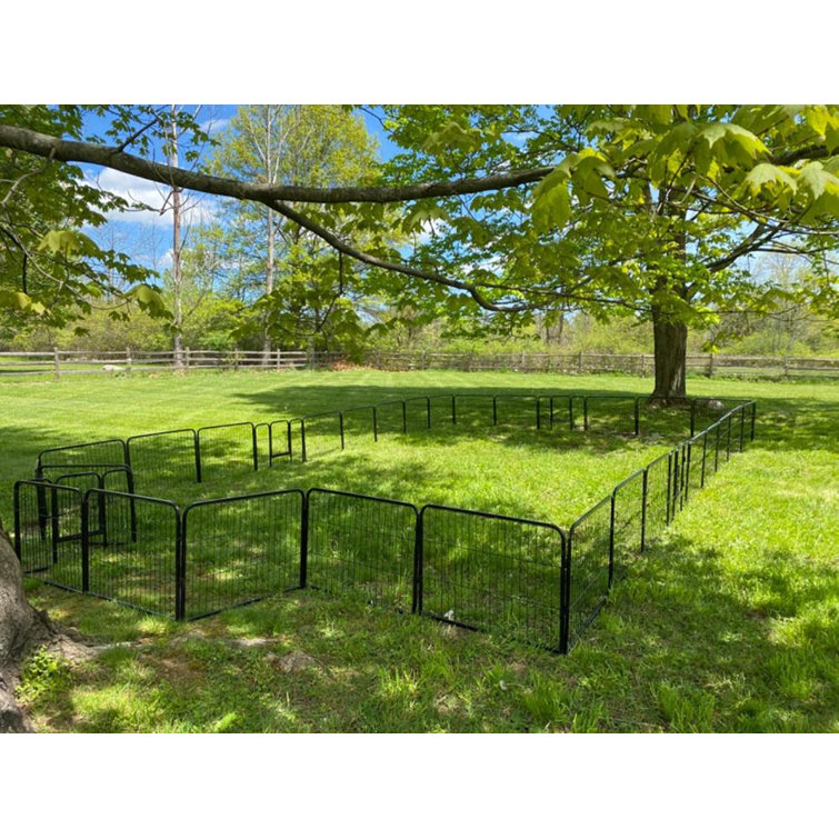 wayfair outdoor dog kennel