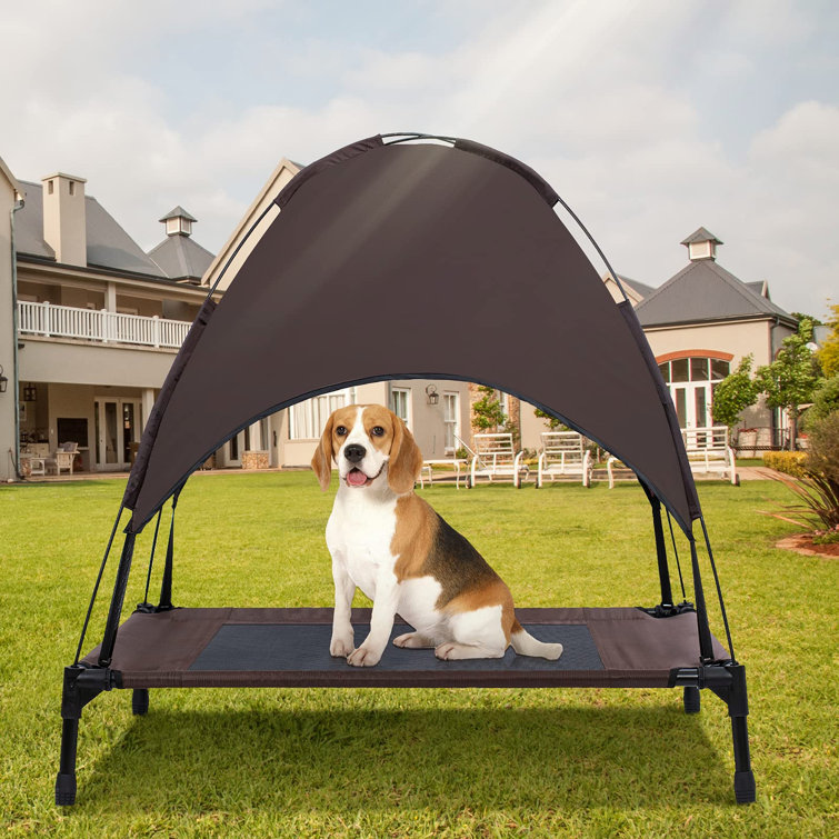 outdoor dog bed with shade