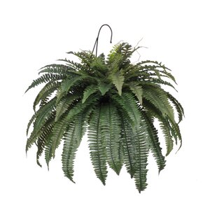 Artificial Fern Hanging Plant in Basket