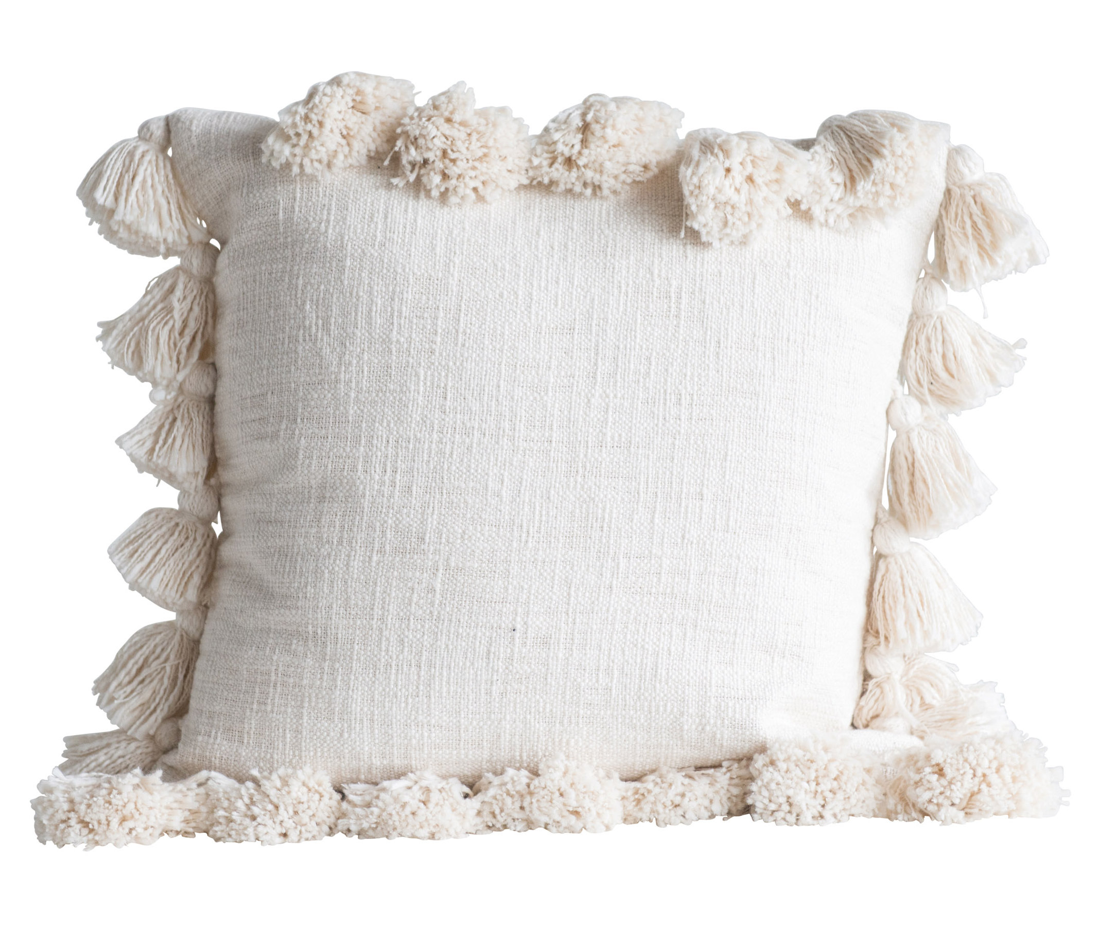 Luxurious Cotton Throw Pillow Reviews Allmodern