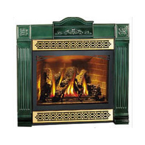 Direct Vent Wall Mount Gas Fireplace by Napoleon