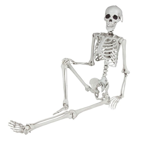 Halloween Skeleton Full Body 19” Decoration Realistic Creepy Scary Skull Decor 