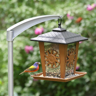 Feeder Pole Bird Feeder Accessories Wayfair