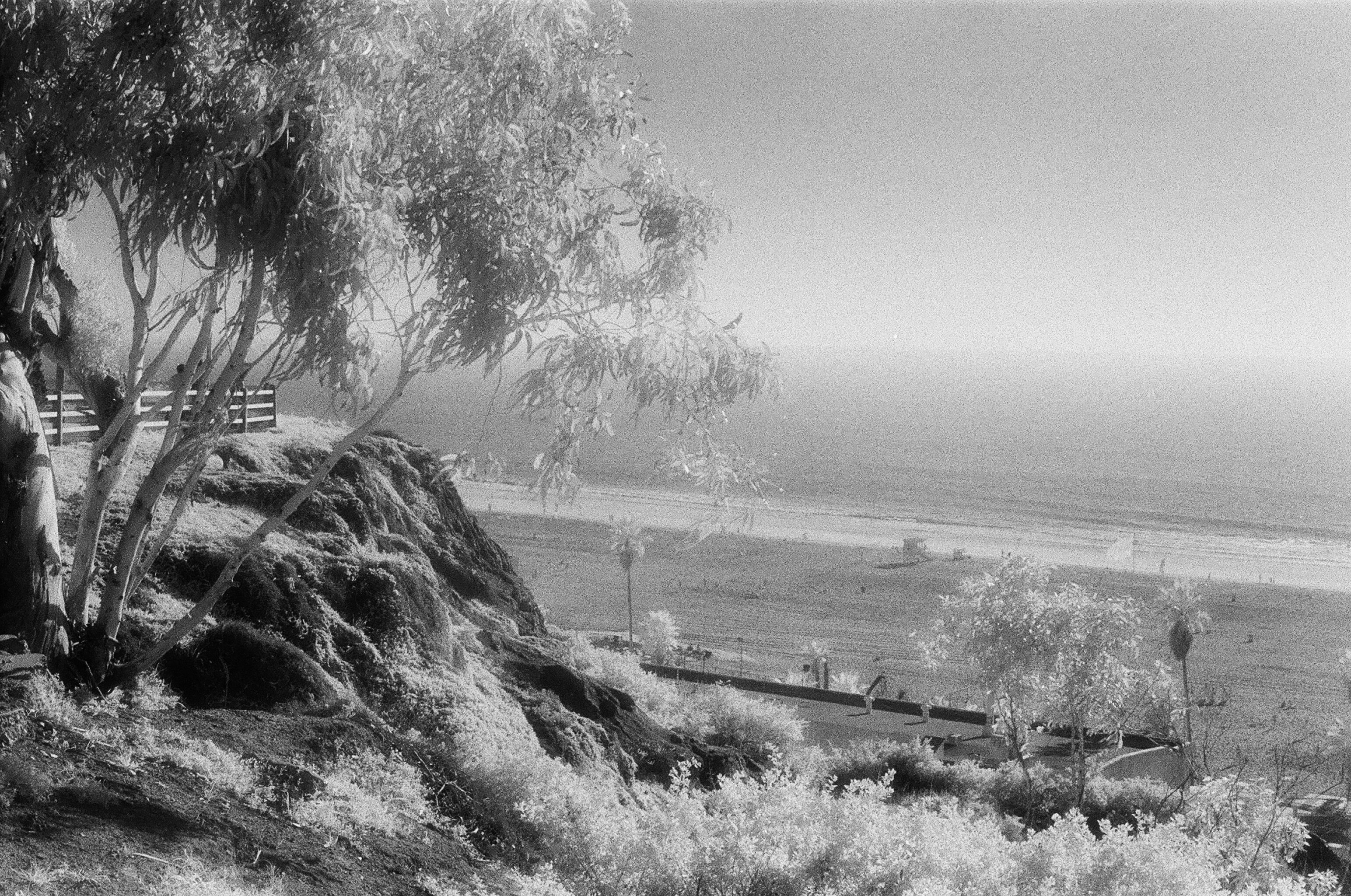 Rosecliff Heights Santa Monica Picture Frame Photograph Wayfair