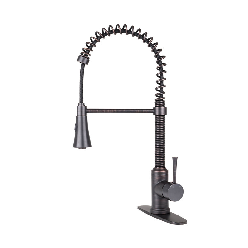 Fontainebyitalia Spring Coil Cone Spray Head Pull Down Single Handle Kitchen Faucet With Deck Plate Reviews Wayfair