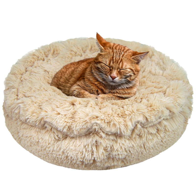 Pet Pod Bed Goldenacresdogs Com