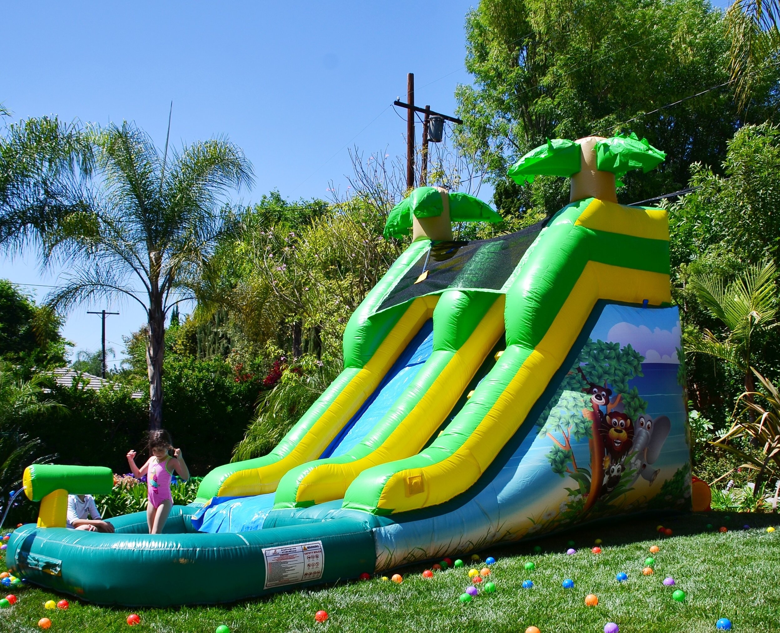 JumpOrange DuraLite Safari Water Slide Reviews Wayfairca