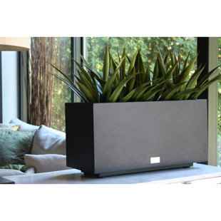 Long Indoor Planter Box | Wayfair Long Indoor Planter Box | Wayfair