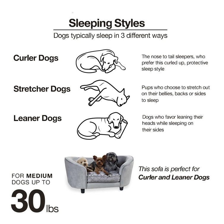 constantine dog sofa