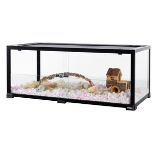 40 Gallon Terrarium Stand | Wayfair