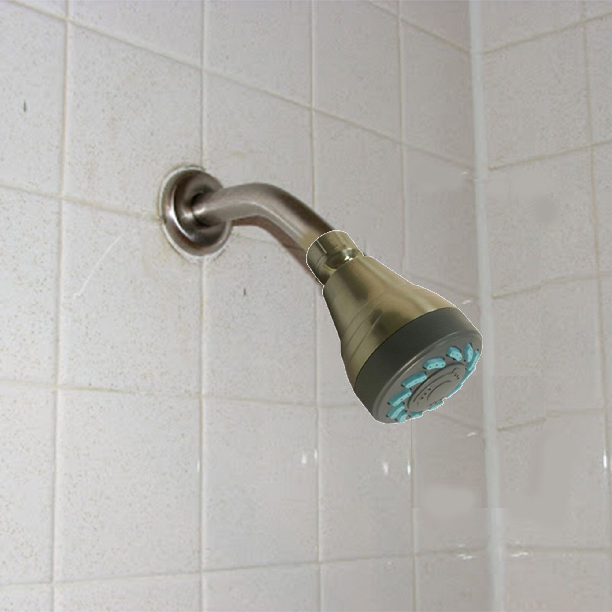 AA Warehousing Standard Fixed Shower Head | Wayfair