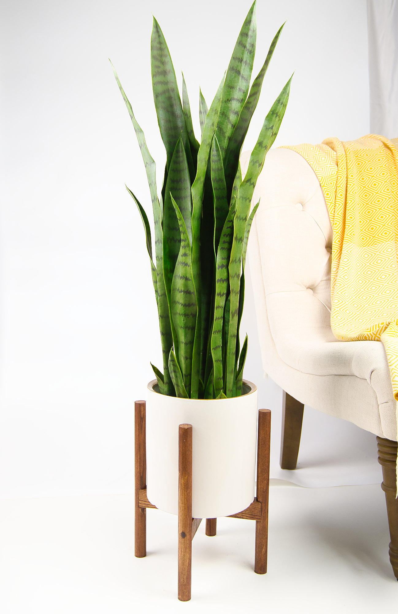 wayfair standing planter on Gold Flamingo Odessa 1 Piece Ceramic Pot Planter Reviews Wayfair