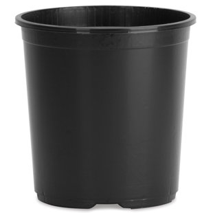 5 Gallon Nursery Pots Wayfair Nursery Pot Planter Set Of 25