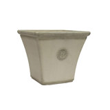 Happy Planter Planters You Ll Love In 2021 Wayfair