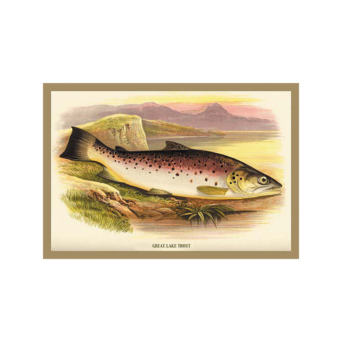 Buyenlarge Great Lake Trout By A F Lydon Framed Painting Print