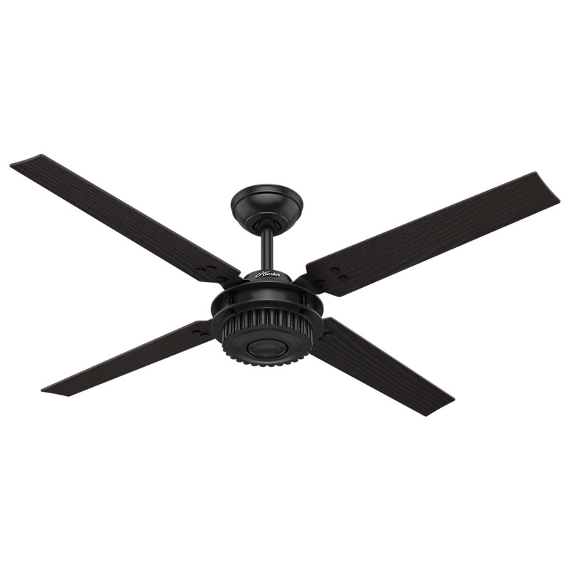 Hunter Fan 54 Chronicle 4 Blade Ceiling Fan Reviews Wayfair