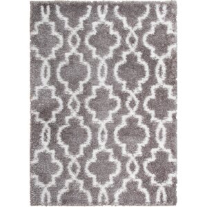 Abarca Gray/Ivory Shag Area Rug