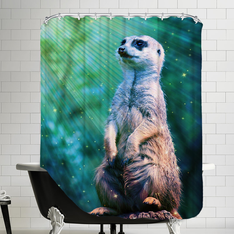 East Urban Home Meerkat With Stars Single Shower Curtain Wayfair