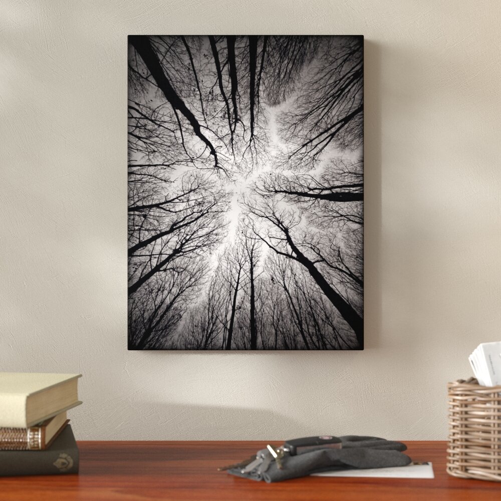 Union Rustic Ceiling - Unframed Graphic Art & Reviews | Wayfair