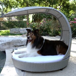 Outdoor Hooded Dog Chaise Lounge