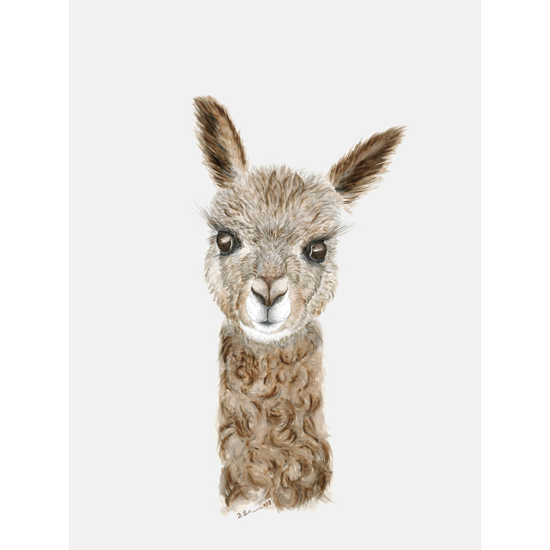 alpaca baby stuff