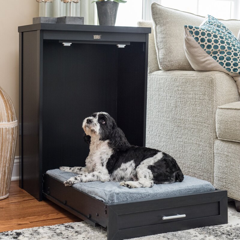 Archie & Oscar Ace ecoFLEX Murphy Pillow Dog Bed & Reviews | Wayfair.ca