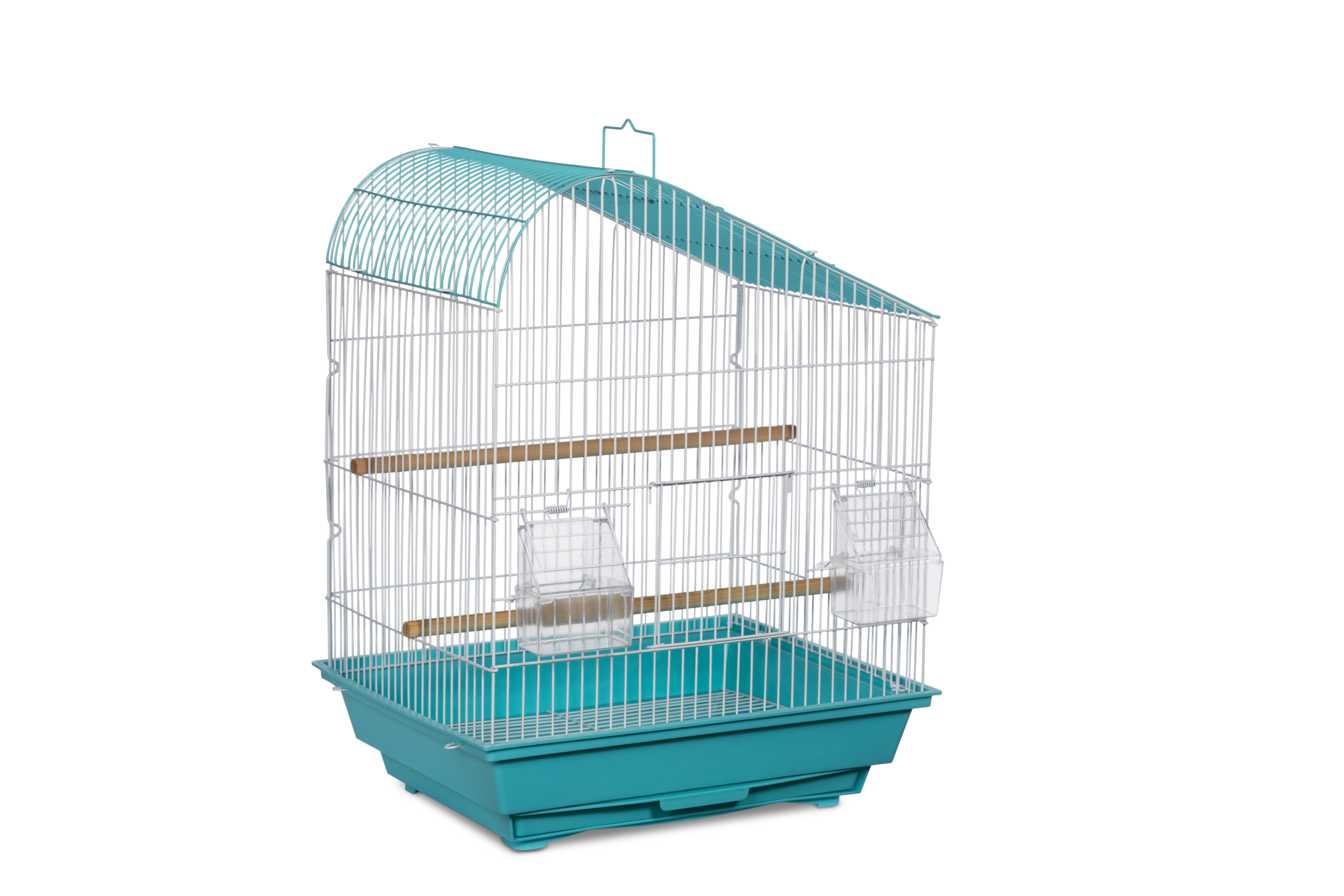 budgie and cage for sale