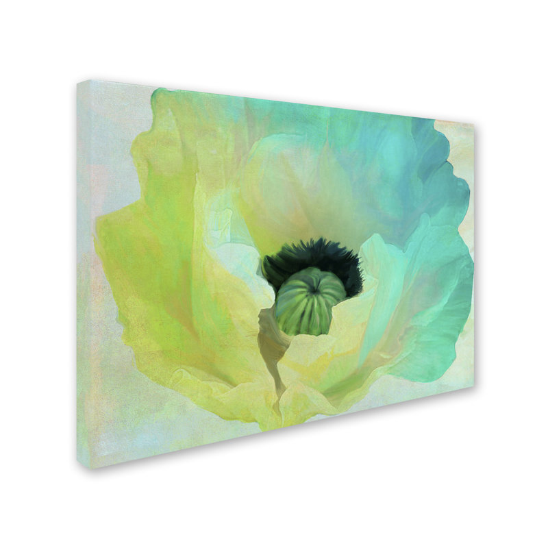 Trademark Art Poppy Gradient I By Color Bakery Painting Print On