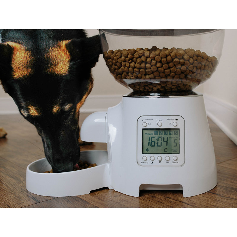 prestige pet automatic feeder