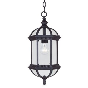 Hartshorne 1-Light Outdoor Hanging Lantern