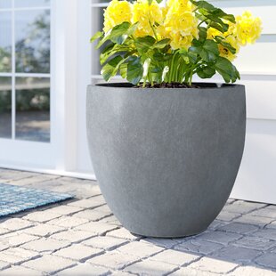 Wayfair | Planters On Sale You'll Love in 2022