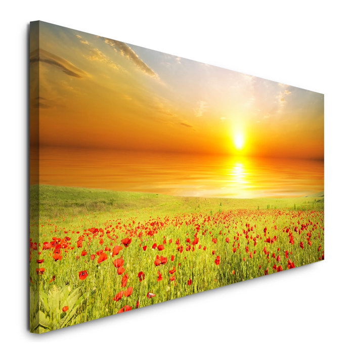 East Urban Home Field with Green Grass and Red Poppies ...