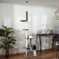floor to ceiling scratching post