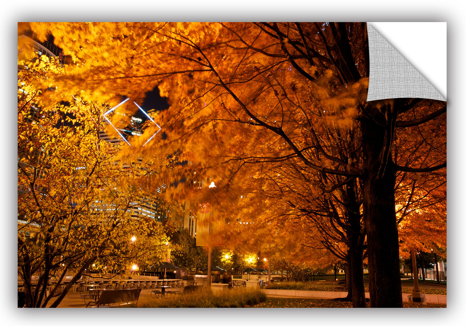 Ebern Designs Chicago Fall 2 Photographic Print Wayfair
