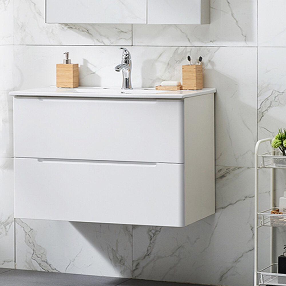 Latitude Run Ddnald 29 Wall Mounted Single Bathroom Vanity Set Reviews Wayfair