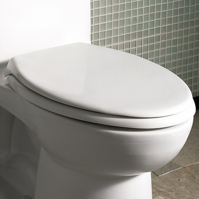 American Standard Champion 1 6 Gpf Elongated One Piece Toilet Seat Included Reviews Wayfair
