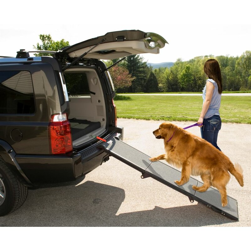 folding pet ramp