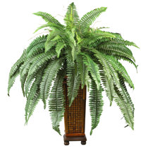 Artificial Boston Fern Wayfair Artificial Boston Fern Wayfair