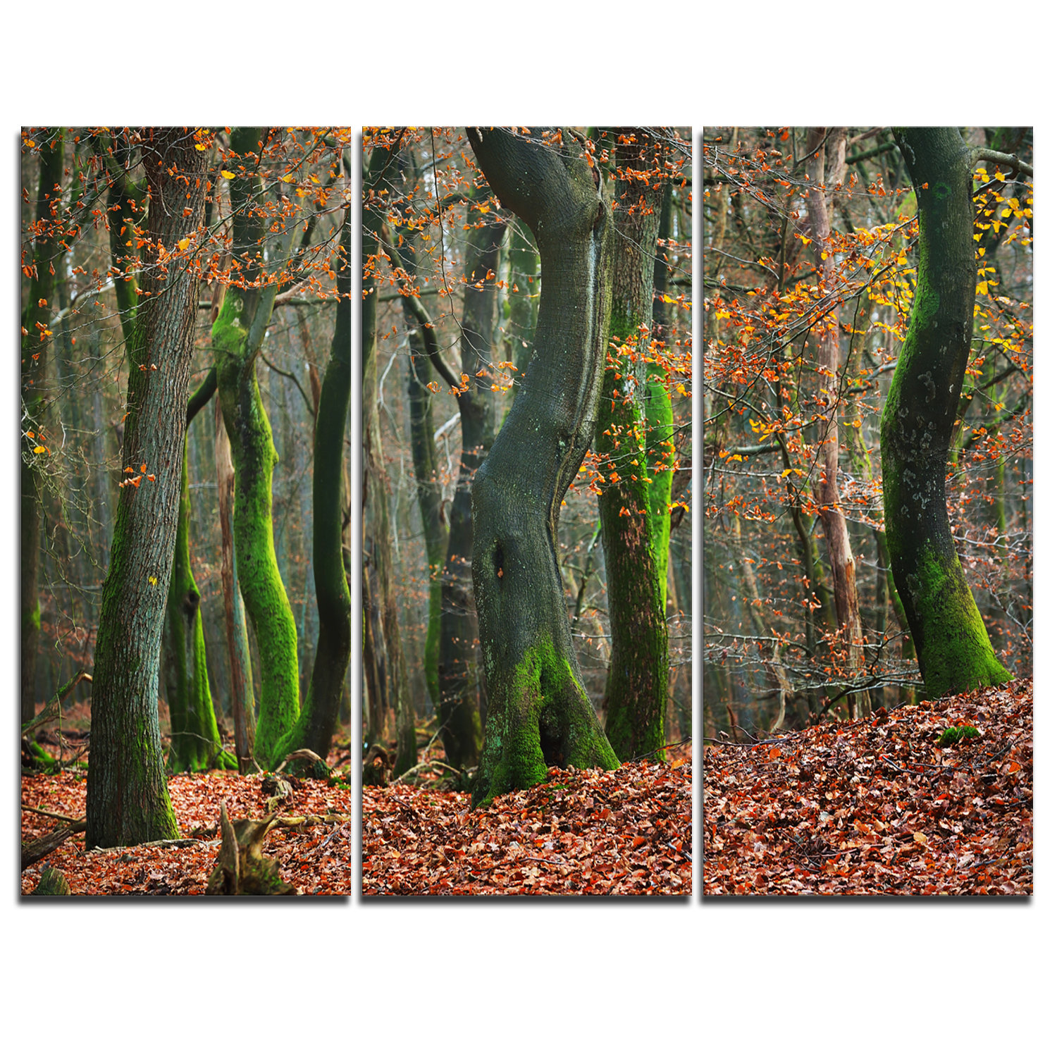 Designart Autumn Forest In The Netherlands 3 Piece Graphic Art On Wrapped Canvas Set Wayfair