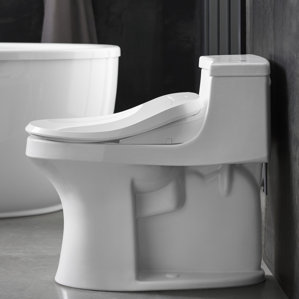 Toilet Seats You\'ll Love | Wayfair Toilet Seats You\'ll Love | Wayfair