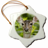 Animal Green Christmas Ornaments You Ll Love In 2021 Wayfair