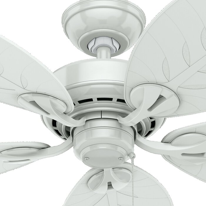 Hunter Fan 54 Bayview 5 Blade Ceiling Fan Reviews Wayfair Ca