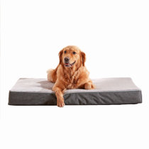 slumber ball dog bed greyhound