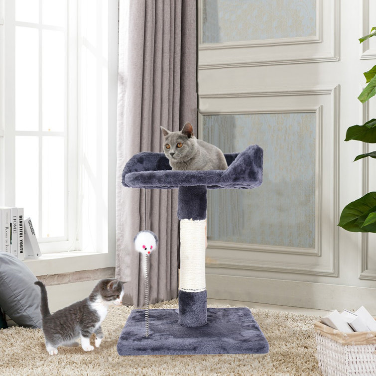 wayfair cat post