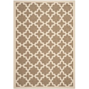 Clarksburg Brown/Bone Indoor/Outdoor Area Rug